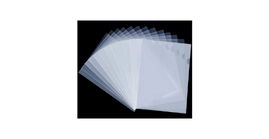 Plastic Folder China 12pc
